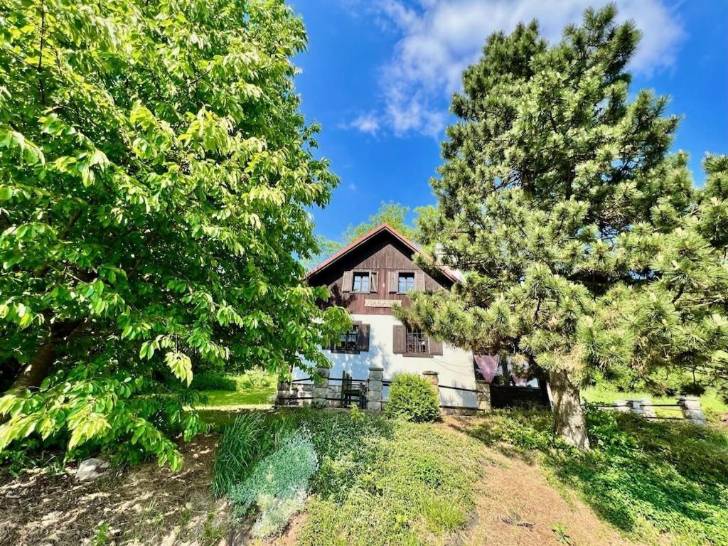 Holiday Home Marianne Velke Svatonovice Buitenkant foto